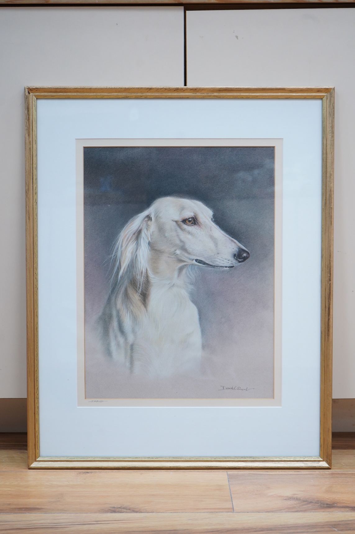 Derek Ward (20th. C), Portrait of a Saluki named Farid, signed, details verso, pastel, 41 x 31cm
